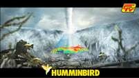 Humminbird - PUB