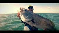 Cédric LECHEVALLIER - Fishing
