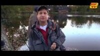 Les perches en automne -1-
